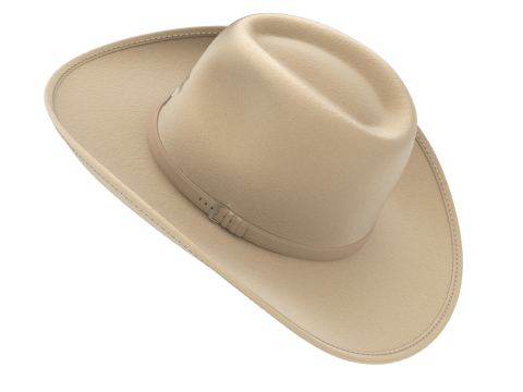 Cowboy Hat 3D 模型