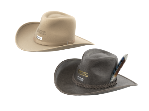 Cowboy Hat 3D 模型