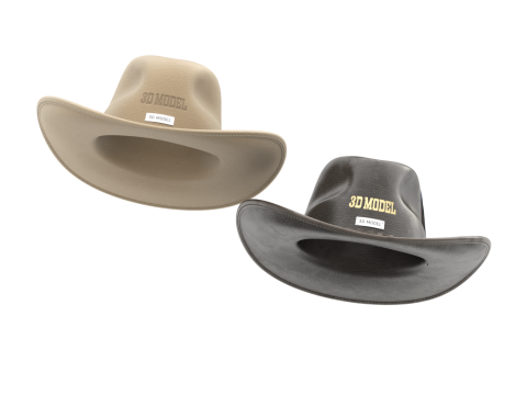 Cowboy Hat 3D 模型