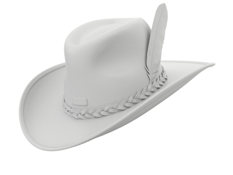 Cowboy Hat 3D 模型
