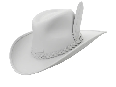 Chap&eacute;u de vaqueiro Modelo 3D
