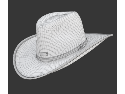 Cowboy Hat 3D 模型