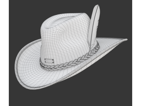 Cowboy Hat 3D 模型