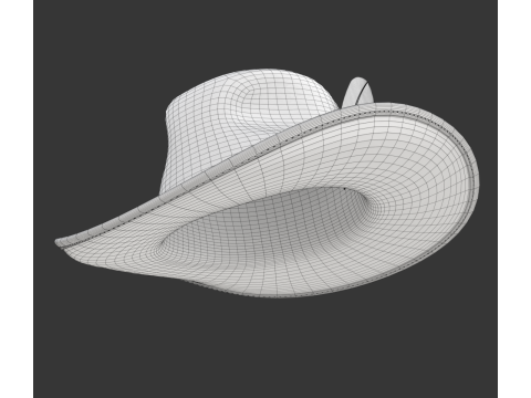 Cowboy Hat 3D 模型