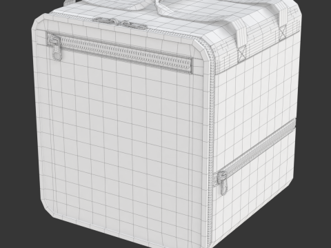 Food Delivery Bag 3D Model