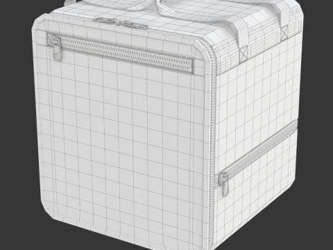Food Delivery Bag 3D Model