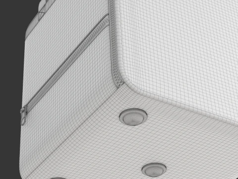 Food Delivery Bag 3D Model