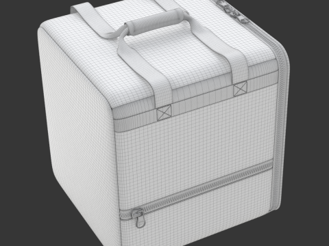 Food Delivery Bag 3D Model
