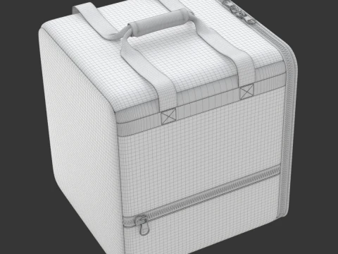 Food Delivery Bag 3D Model