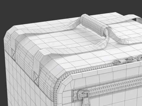 Food Delivery Bag 3D Model