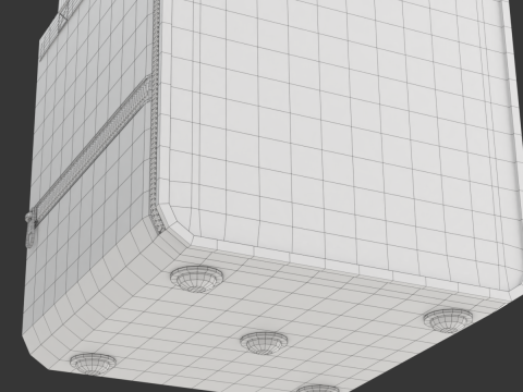 Food Delivery Bag 3D Model