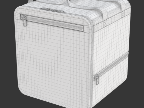 Food Delivery Bag 3D Model