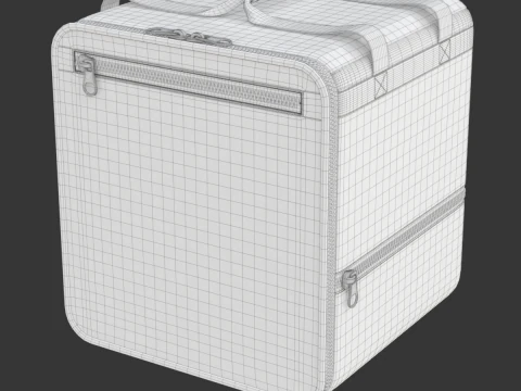 Food Delivery Bag 3D Model