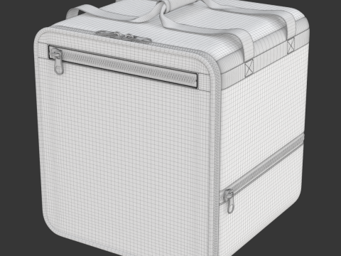 Food Delivery Bag 3D Model