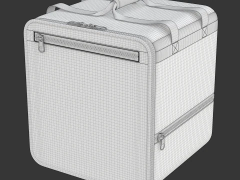 Food Delivery Bag 3D Model