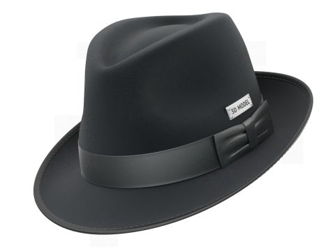 Trilby Hat Model 3D