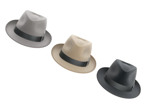 Trilby Hat 3D Model
