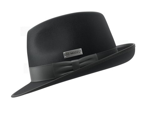 Trilby Hat 3D 模型