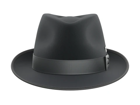 Trilby Hat 3D Model