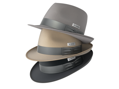 Trilby Hat 3D 模型