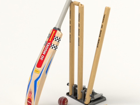 Cricket Set Modèle 3D