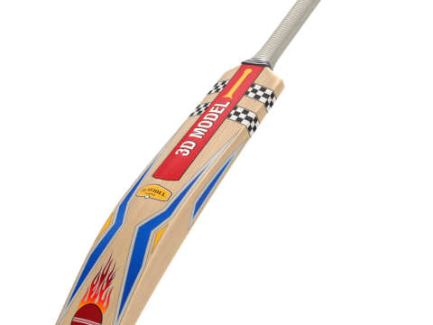 Cricket Set Modèle 3D