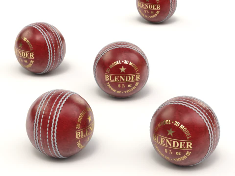 Cricket-Set 3D Modell
