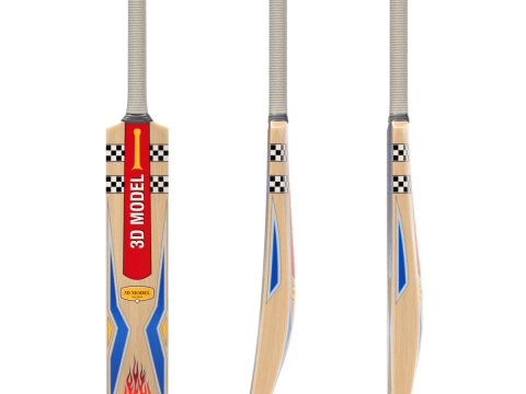 Cricket Set Modèle 3D