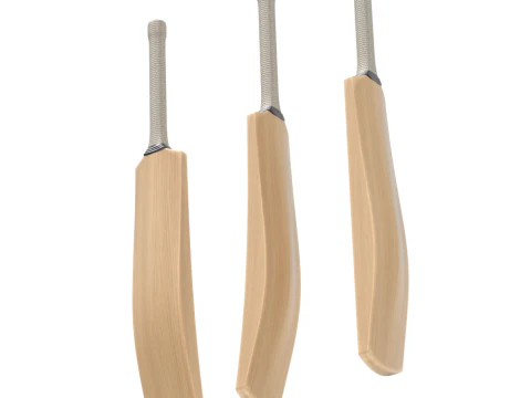 Cricket-Set 3D Modell