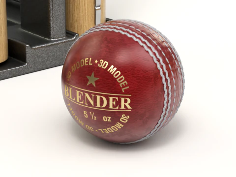 Cricket-Set 3D Modell