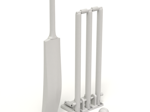 Cricket Set Modèle 3D