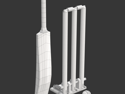 Cricket Set Modèle 3D