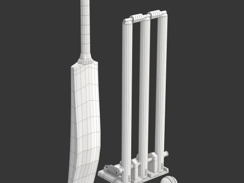 Cricket-Set 3D Modell