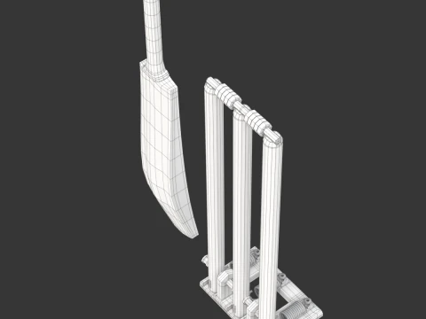 Cricket-Set 3D Modell