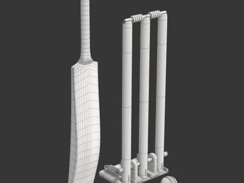 Cricket Set Modèle 3D