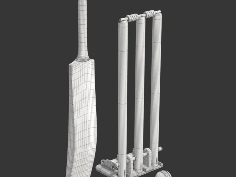 Cricket-Set 3D Modell