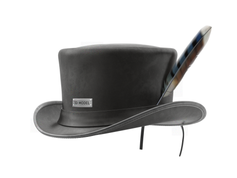 Top Hat 3D Model