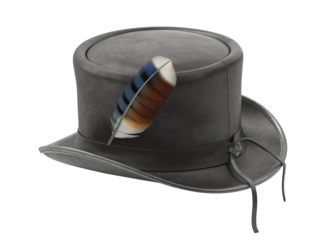 Top Hat 3D Model