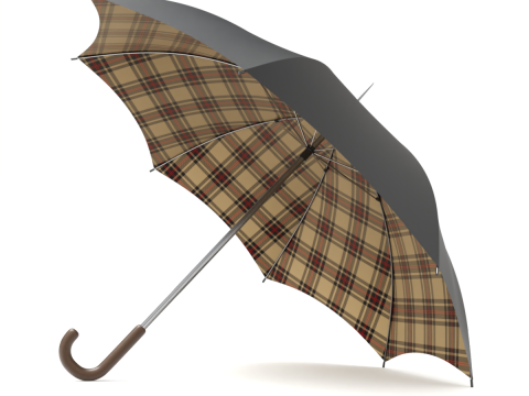 Simple Umbrella 3D 模型