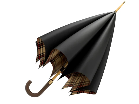 Simple umbrella opening animation 3D Model