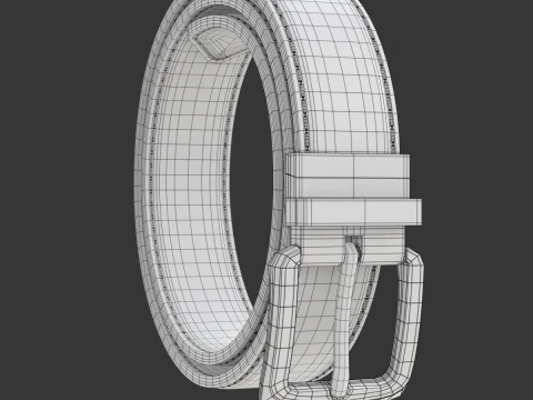 Sk&oacute;rzany pasek Model 3D