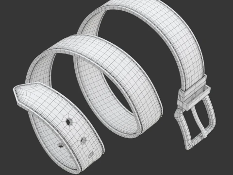 Sk&oacute;rzany pasek Model 3D