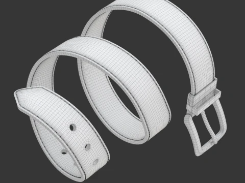 Sk&oacute;rzany pasek Model 3D