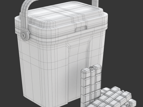 Cooler Box With Icepack 3D Модель