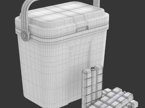 Cooler Box With Icepack 3D Модель
