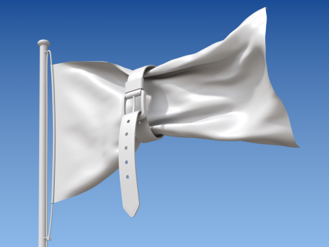 Flag with Belt conceptual of a world budget crisis 3Dモデル