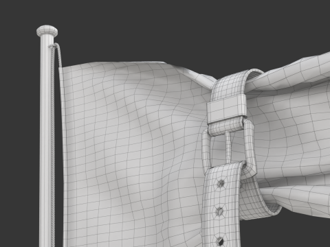 Flag with Belt conceptual of a world budget crisis 3Dモデル