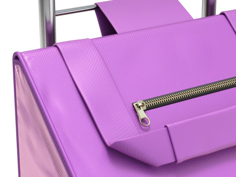 Carrello spesa da arrampicata pieghevole Modello 3D