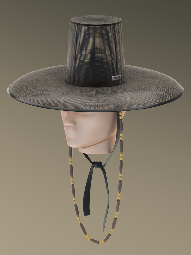 Chap&eacute;u Gat Coreano Modelo 3D .c4d .max .obj .3ds .fbx .stl .blend 