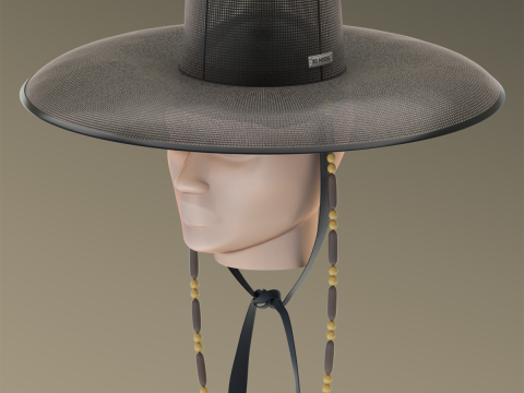 Korean Gat Hat 3D Model